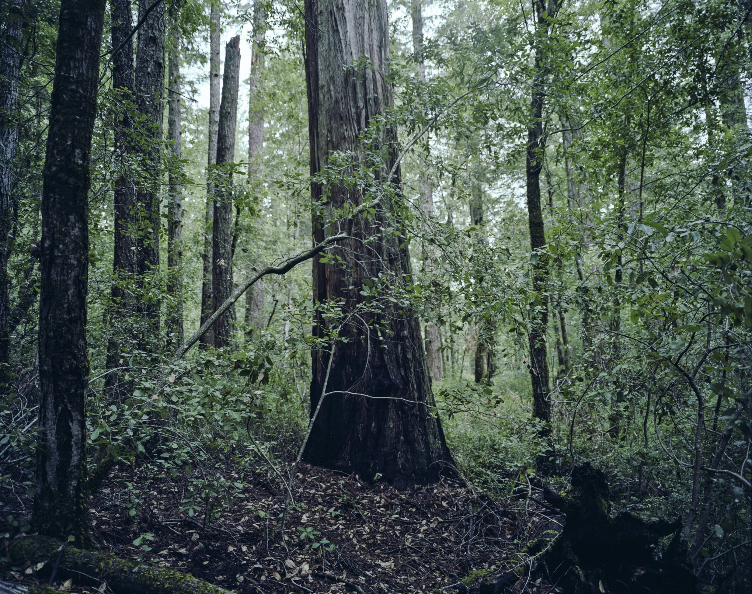 056 057 13 4000_RETOUCHED.JPG