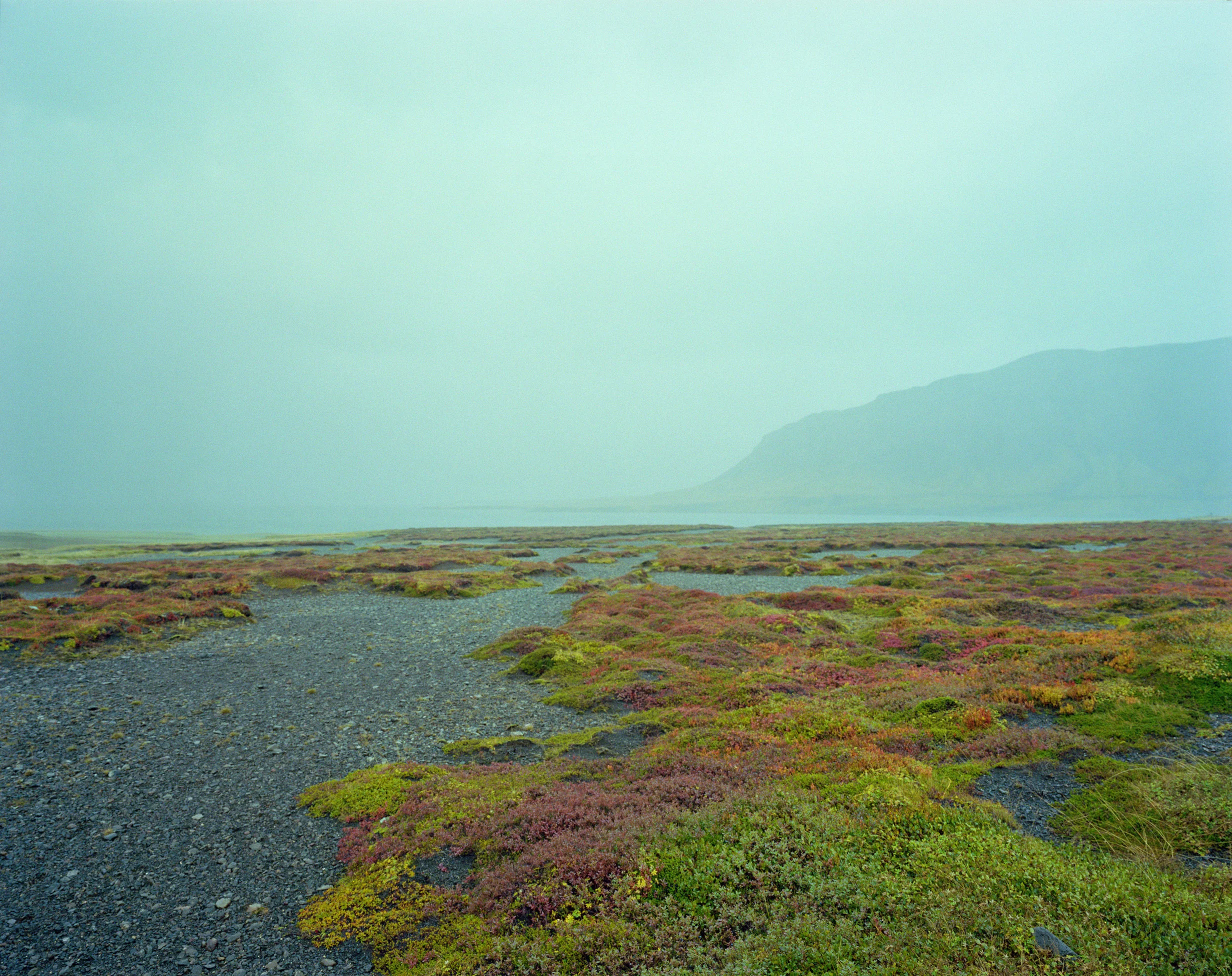 QUIET_STUART_PETTICAN_ICELAND.jpg