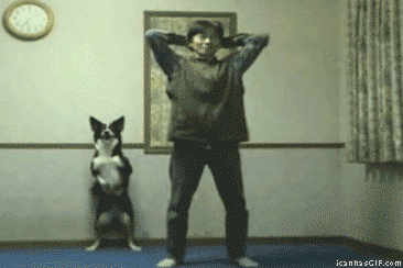 giphy (8).gif