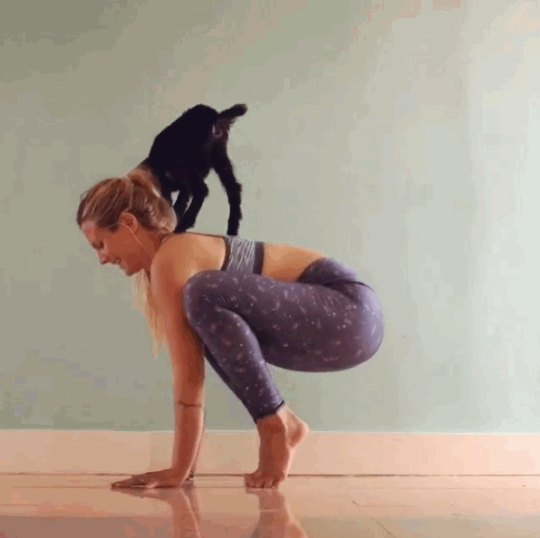 giphy (12).gif
