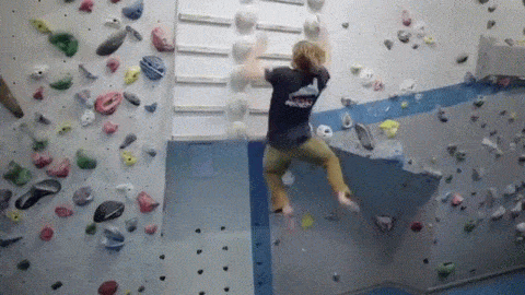 JoyfulAdventurousDwarfmongoose-size_restricted.gif