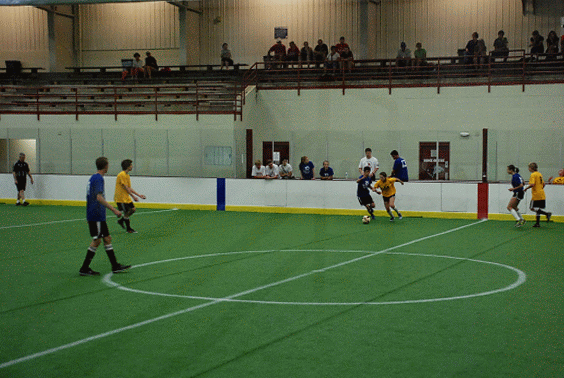 dsc_0263-animation.gif