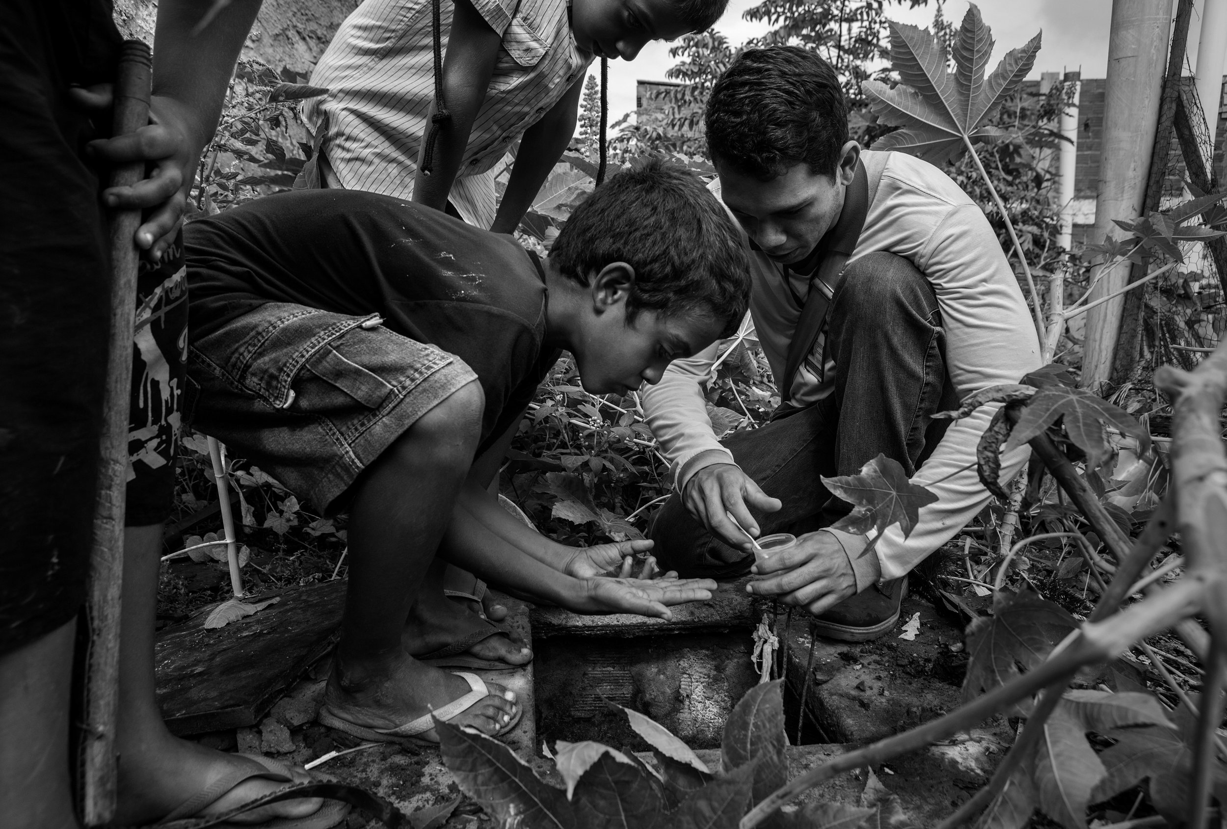  Children kill mosquitoes with their hands behind an abandoned home in an impoverished neighborhood of Campina Grande, as mosquito control agent Danilo de Cavalcanti, right, inspects and drops larvicide into a water hole teeming with mosquitoes and t