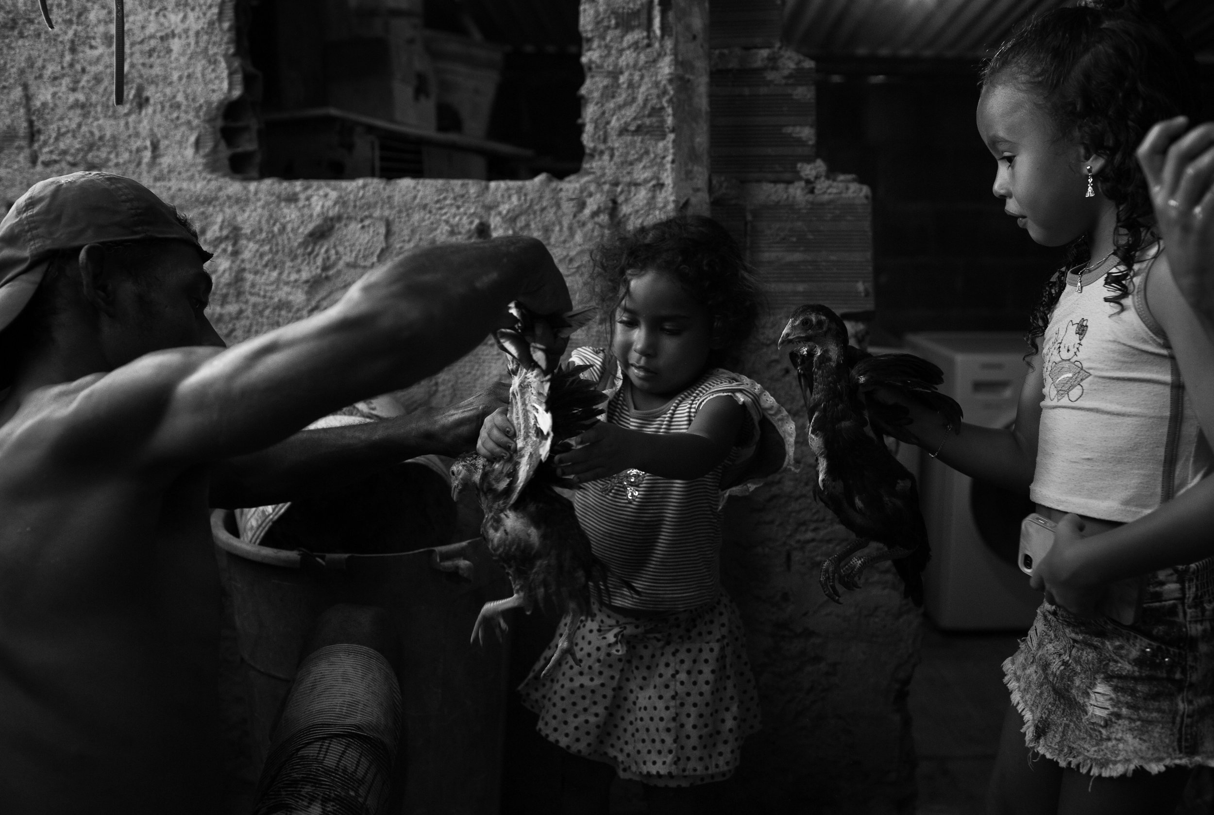  Alexandre Santiago hands his youngest daughter, Vivian, age 4, one of the family’s chickens in the backyard of their home. Alexandre is now the sole provider in the family because his wife, Alessandra de Sousa Amorim, no longer has time to work as a