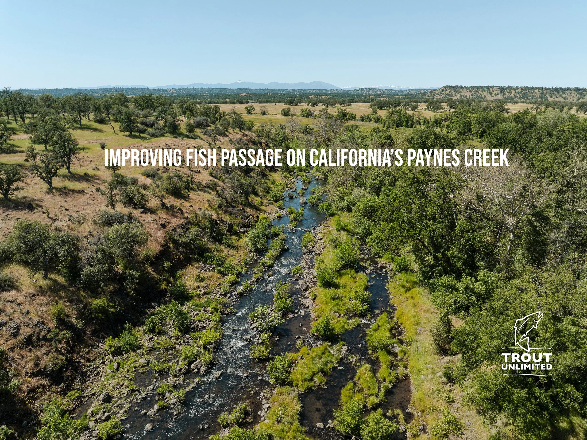 Improving Fish Passage on California's Paynes Creek