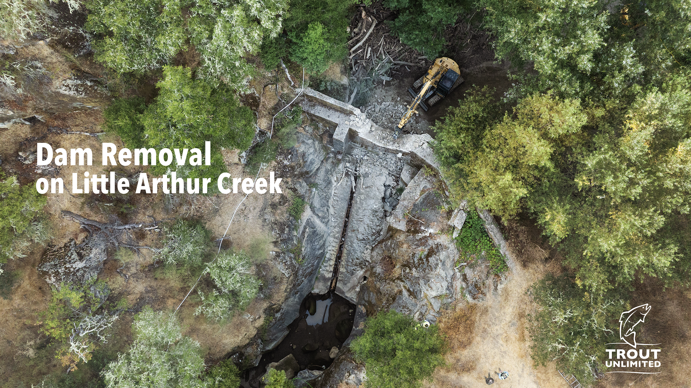 Dam Removal on California's Little Arthur Creek