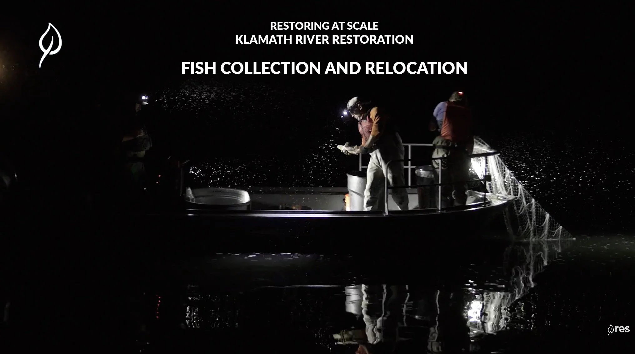 Sucker Relocation | Klamath River Restoration