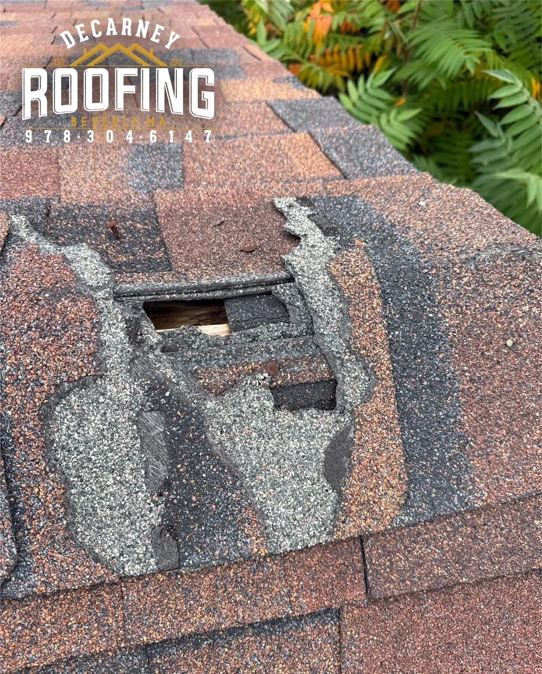 🐾 🦝 Another roof falls victim to a raccoon! 🏠
💥
Though they are cute they can cause serious damage trying to find a way inside. Make sure to trim back any tree branches that are too close to your home! 🌳✂️
#RoofingTips #DeCarneyRoofing #Beverly