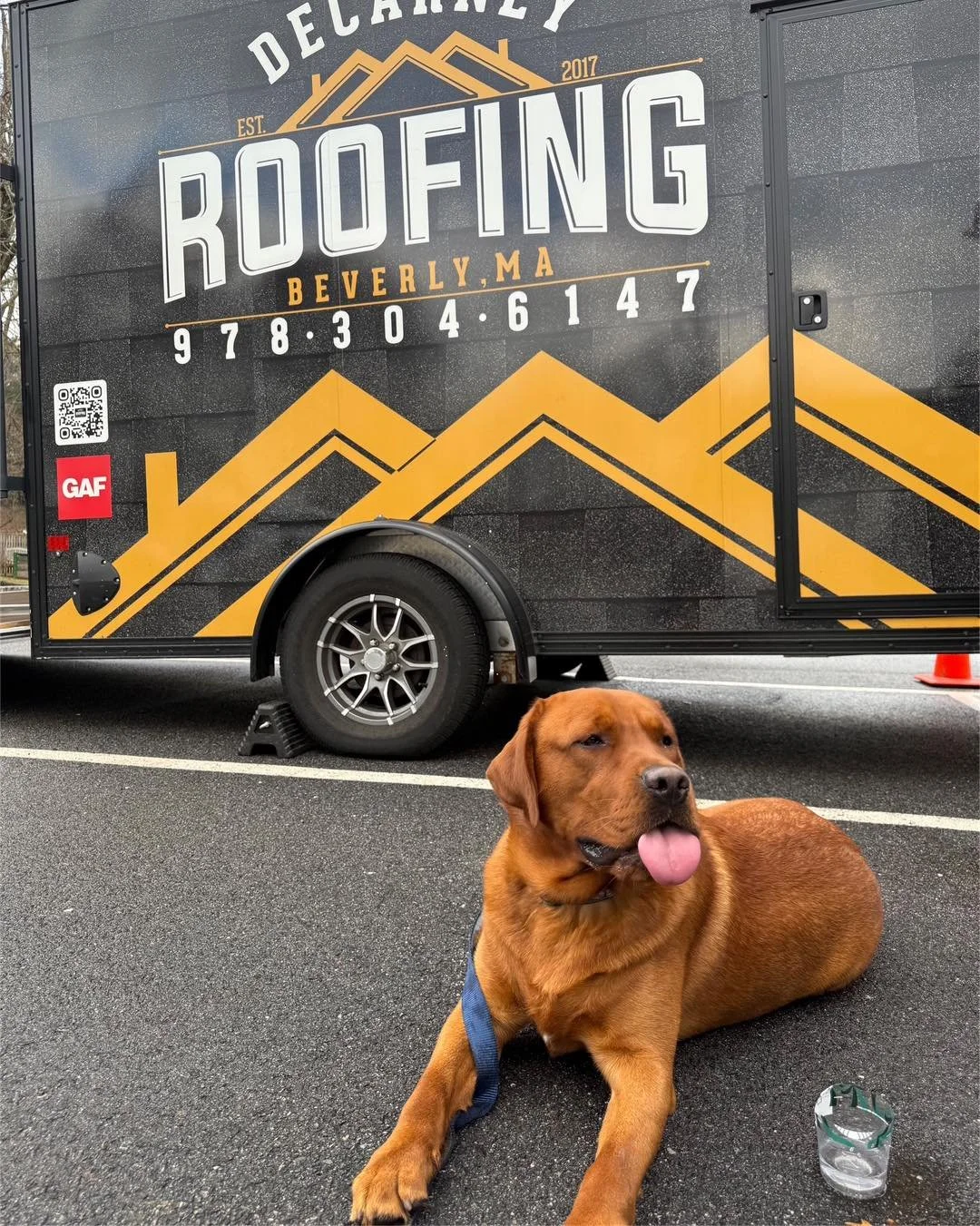 Sanford&rsquo;s clearly not a fan of working the day after Thanksgiving 😅🐾

#PostThanksgiving #Sanford 
#DeCarneyRoofing #DeCarneyDidIt #BeverlyBasedBeverlyTrusted #BeverlyMa #BeverlysRoofer