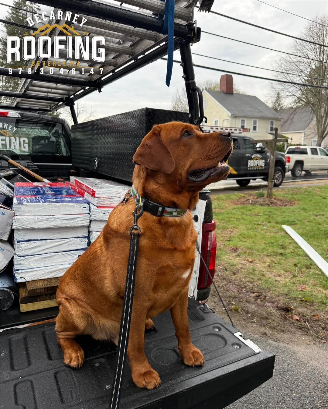 🌞 Happy Monday everyone! The crew knows we&rsquo;ve got an inspector on site today&hellip; Sanford&rsquo;s watching everything 🐾

#Sanford #InspectorSanford
#DeCarneyRoofing #DeCarneyDidIt #TheDeCarneyDifference #BeverlysRoofer #BeverlyMa #BeverlyB
