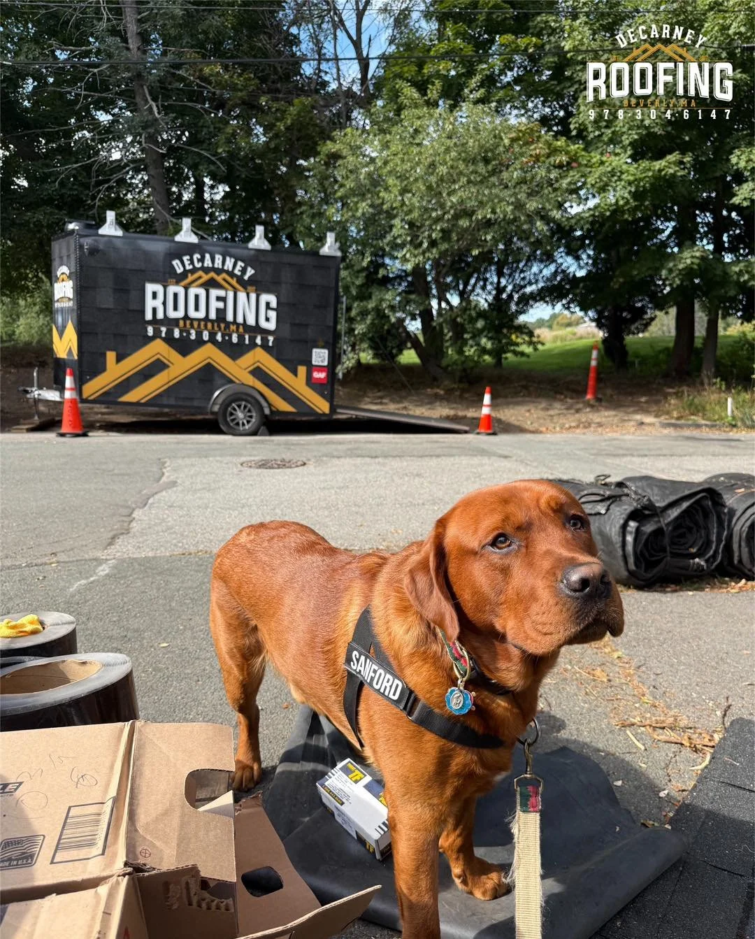 🐾 The hardest working man in the industry is back on site today! #Sanford #SanfordTheRoofer