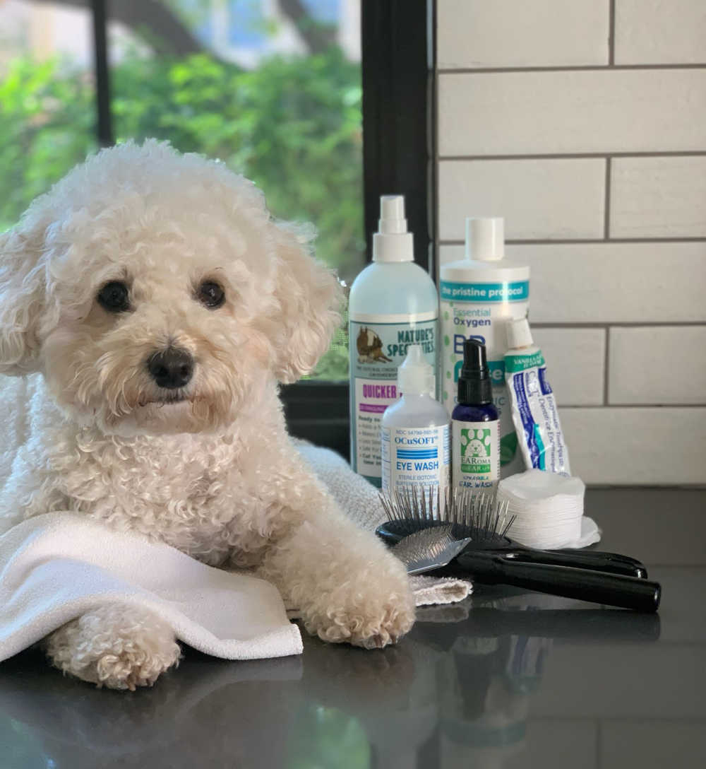 Dog Style and Grooming — Oh My Dog! Boutique Hotel & Spa