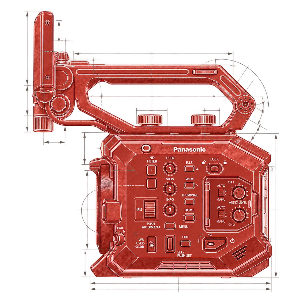 Panasonic EVA1