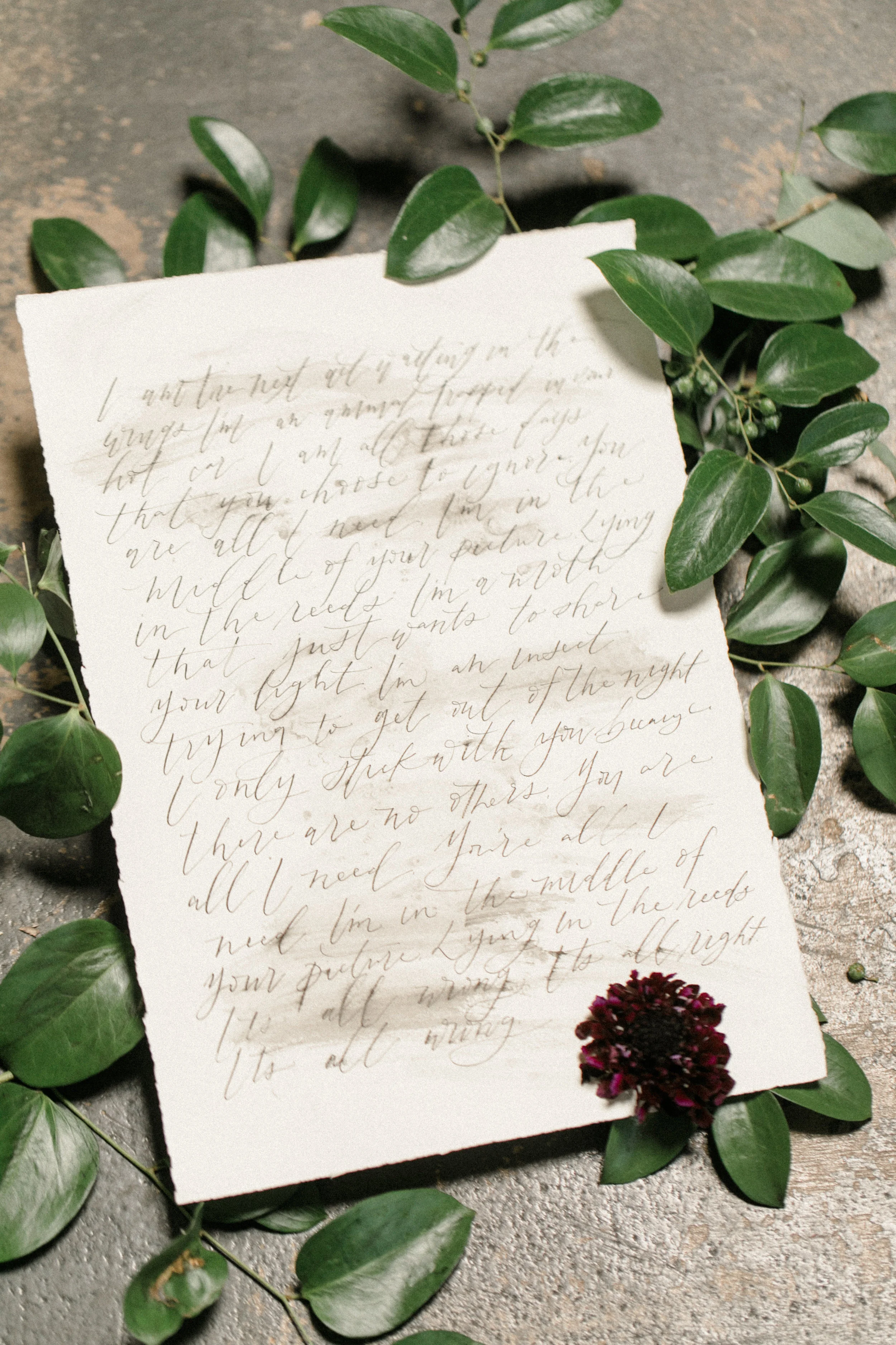 Dallas Halloween-Rent My Dust - (60).jpg