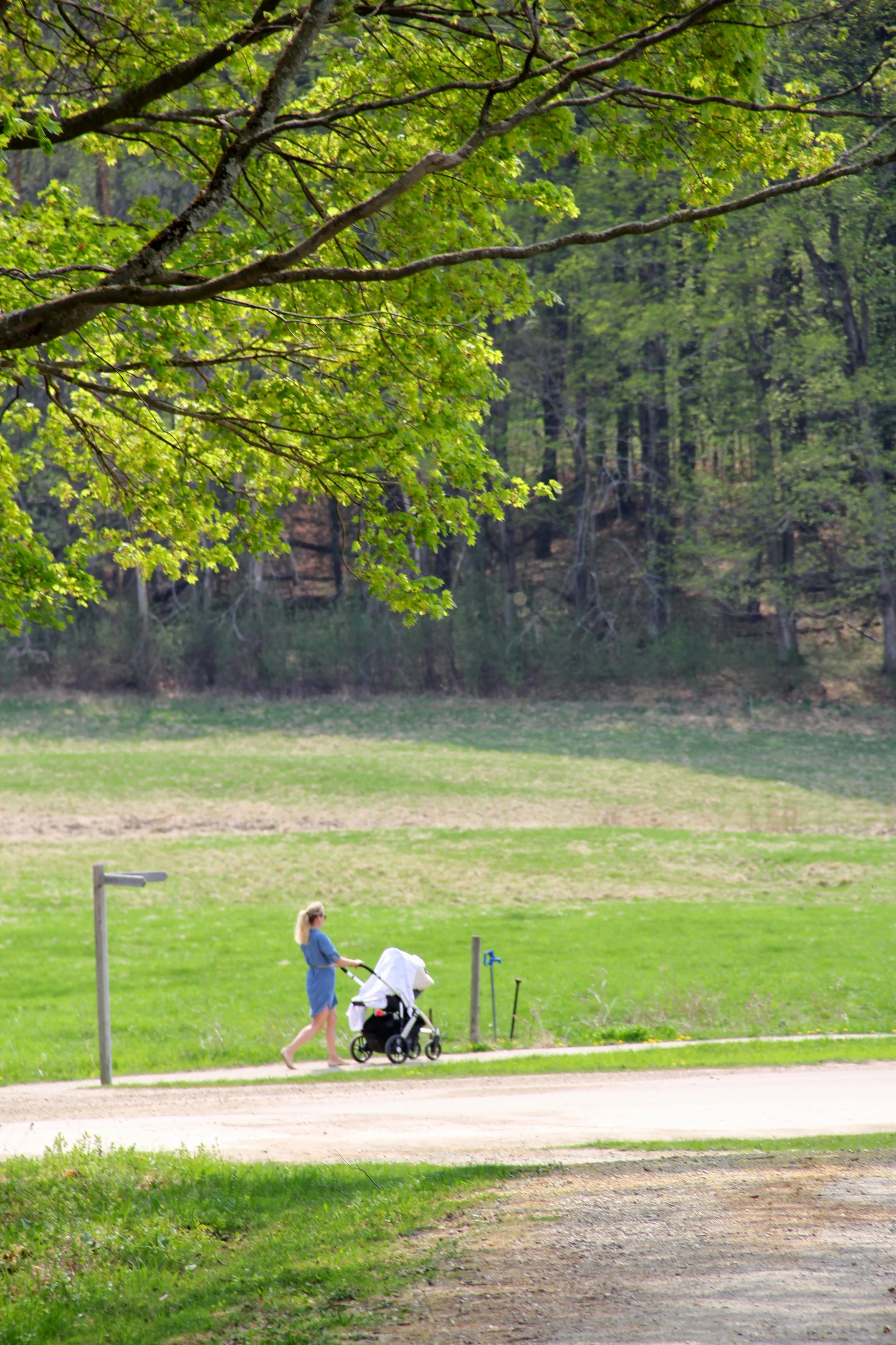 How did I get back to a regular exercise routine after having a child? 