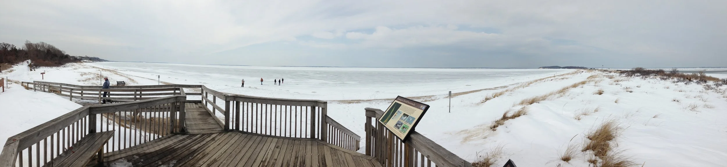 IMG_0502morton in winter.JPG