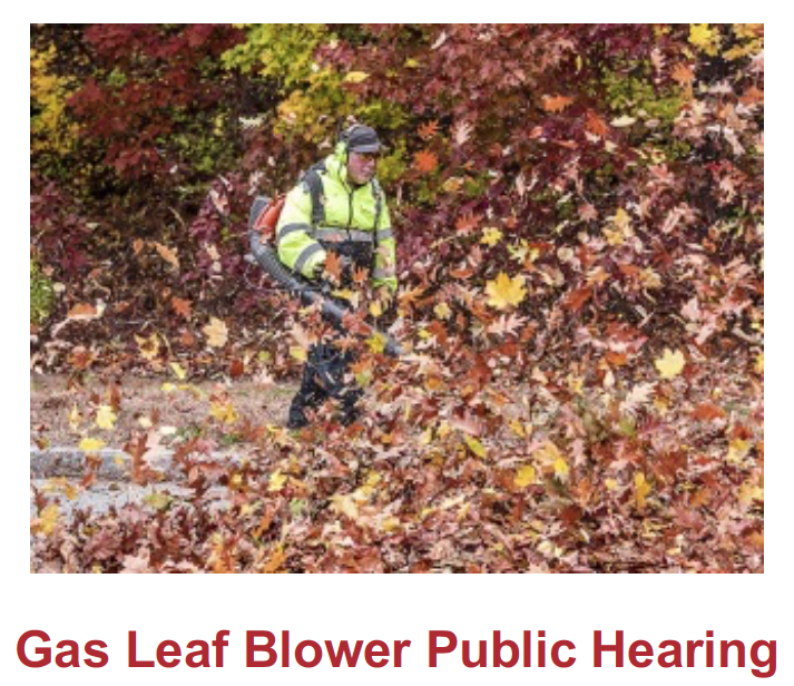 Public Hearing FYI: Gas Leaf Blowers