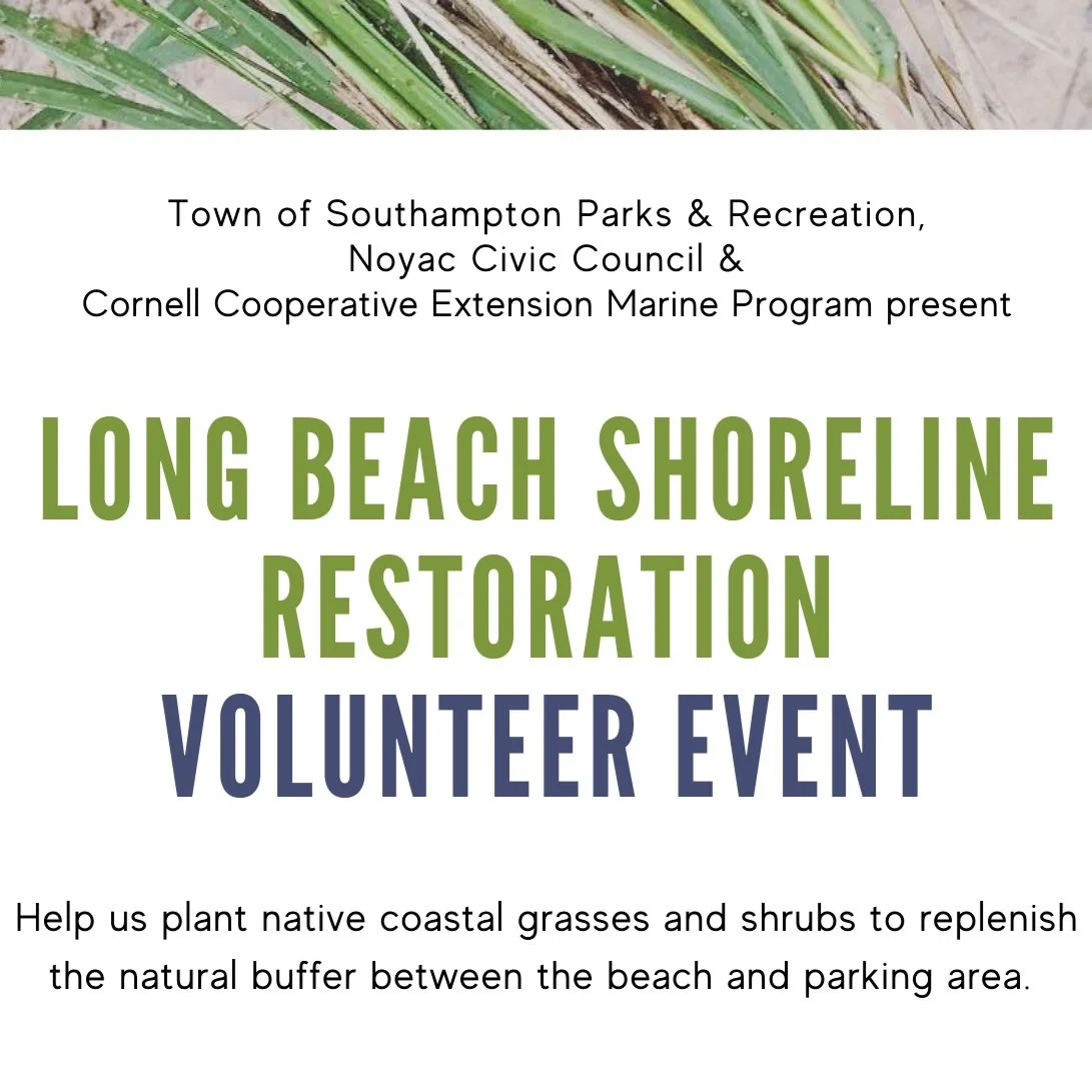 2nd Long Beach Planting Event