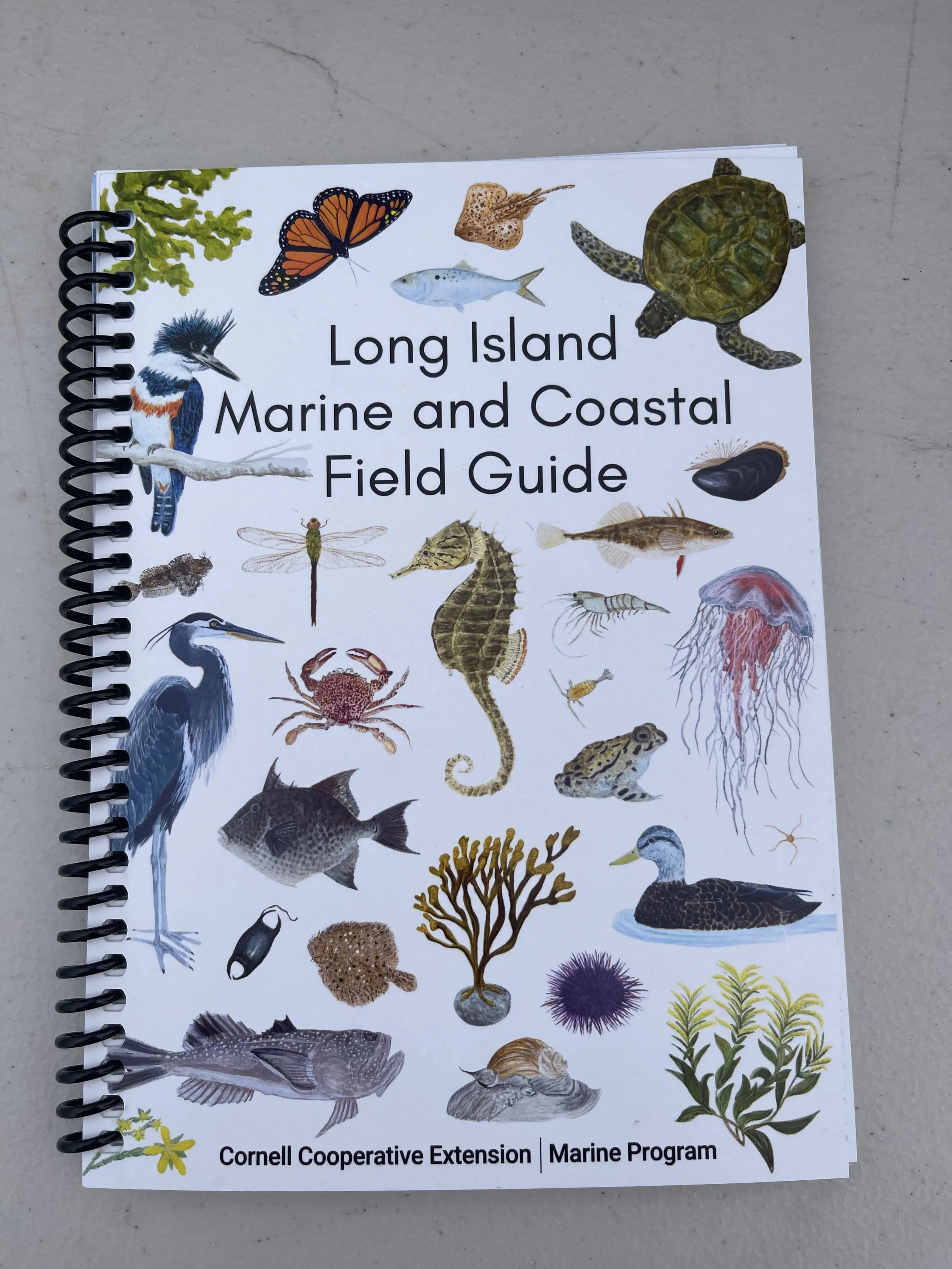 IMG_9021 Victoria Kirk.jpeg