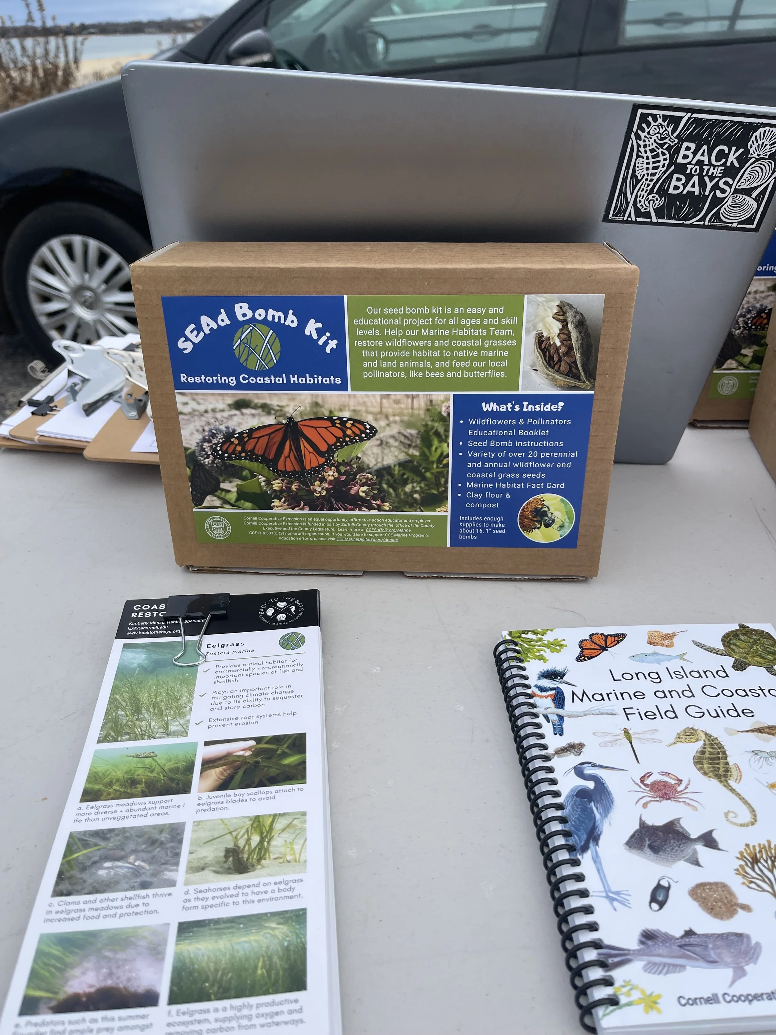 IMG_9020 Victoria Kirk.jpeg