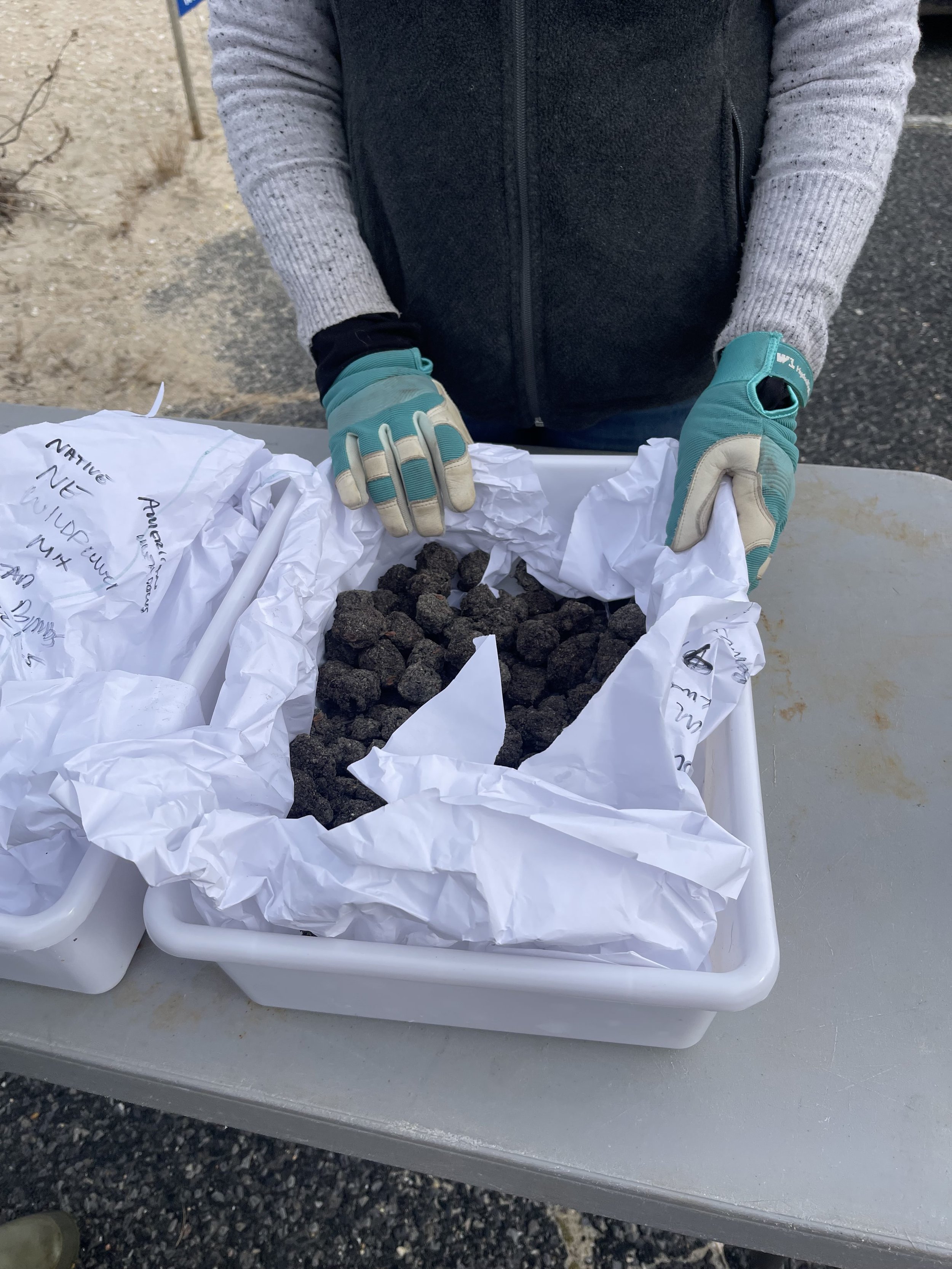 IMG_9018 Victoria Kirk.jpeg