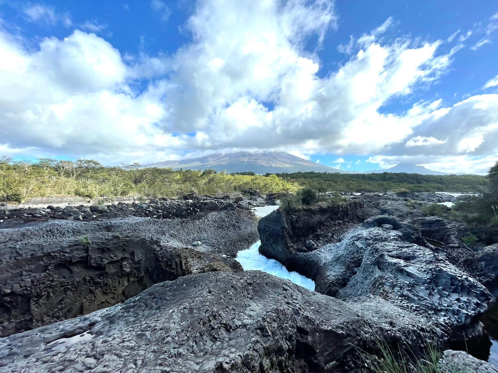 National Park Vicente Perez Rosales (Finn K, '26)