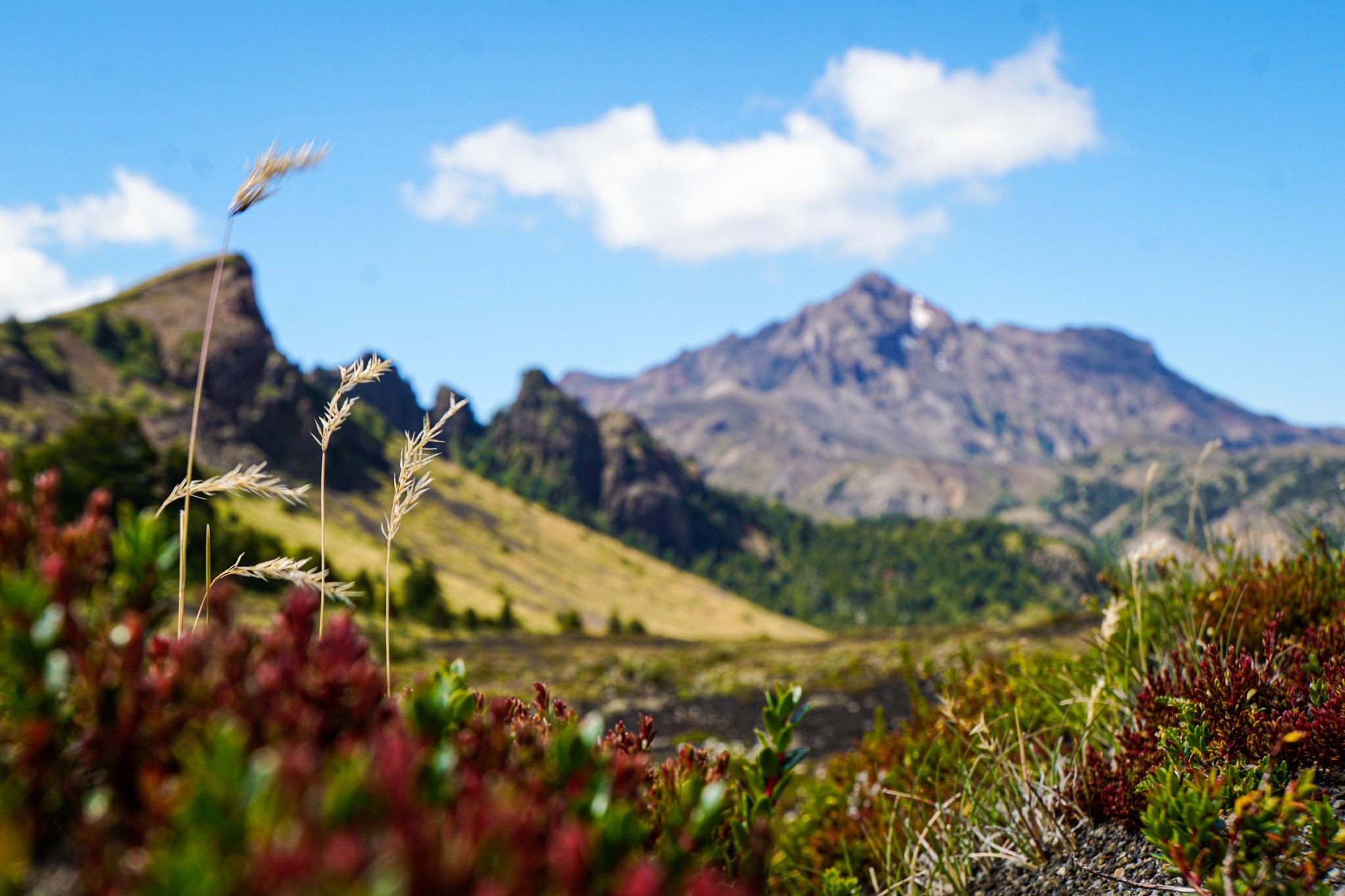 Patagonian Landscape (Lily K, '24)