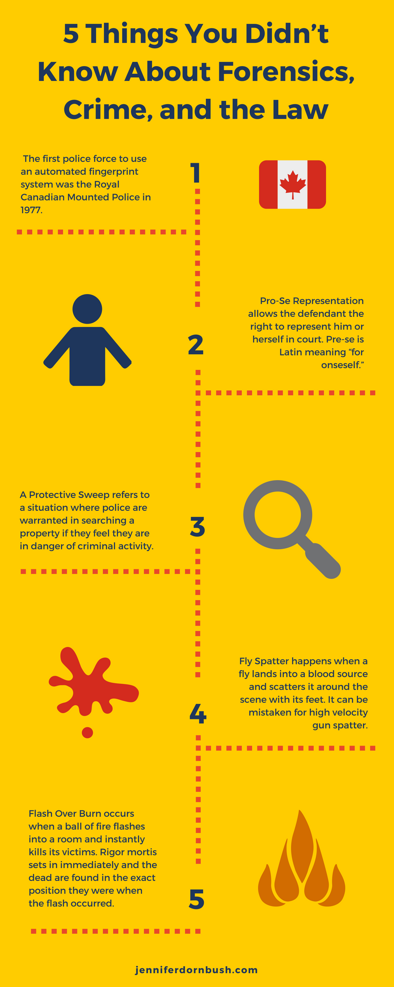 5 Things You Didn’t Know About Forensics, Crime, and the Law.png