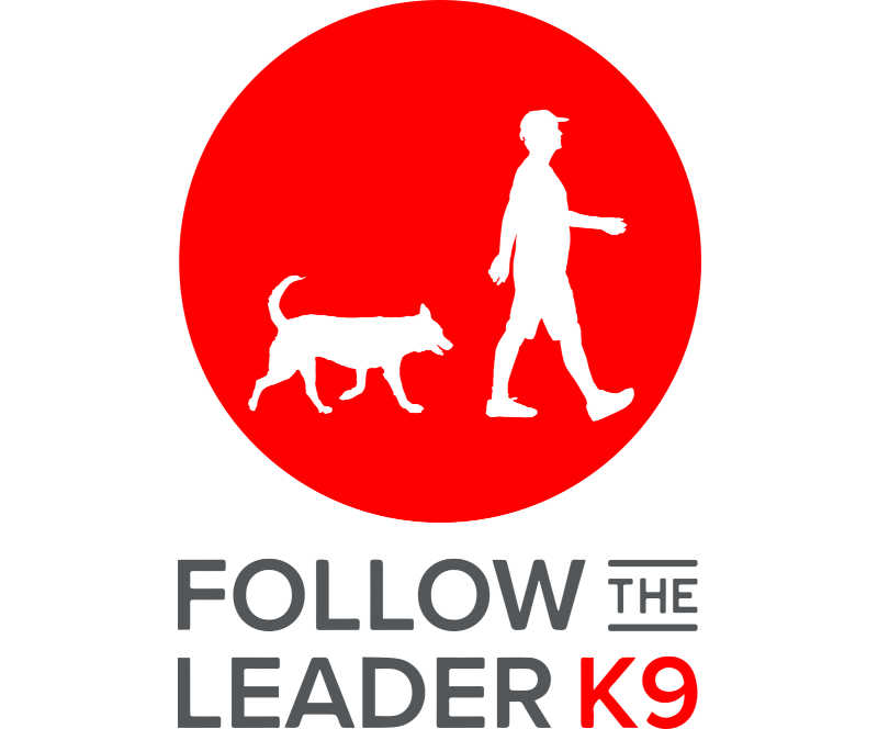 Follow the Leader K9