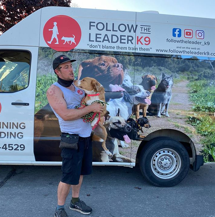 A poem dedicated to Ziggy 