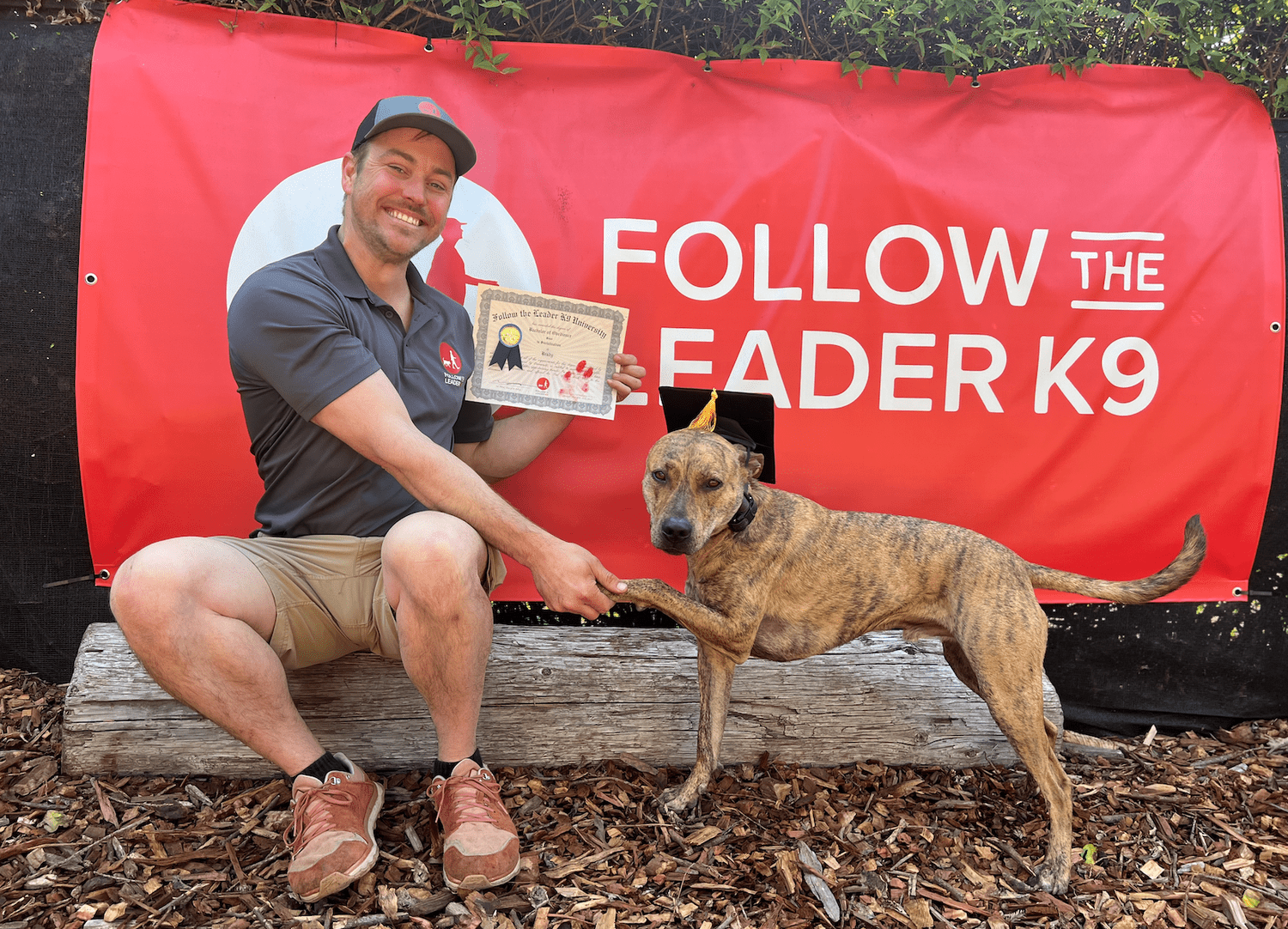 Dog Behaviorist Dog Training Near Me Aggression Dog Obedience