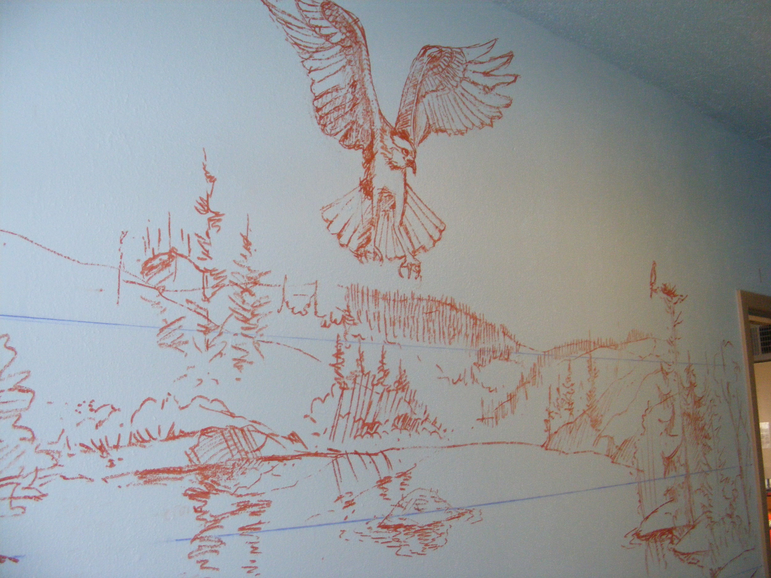 Osprey, YWCA Womens Shelter