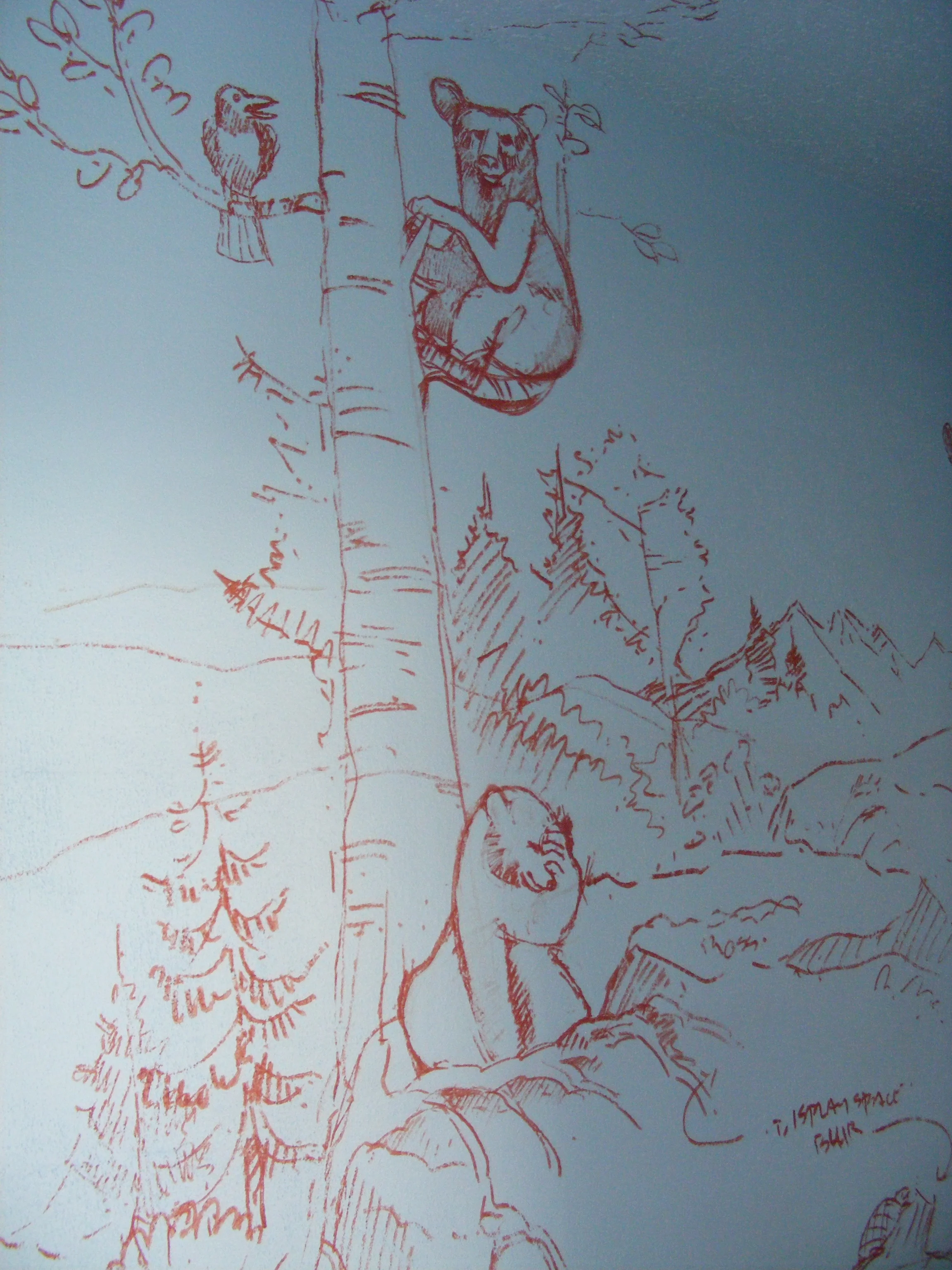 Silly Bears, YWCA Womens Shelter