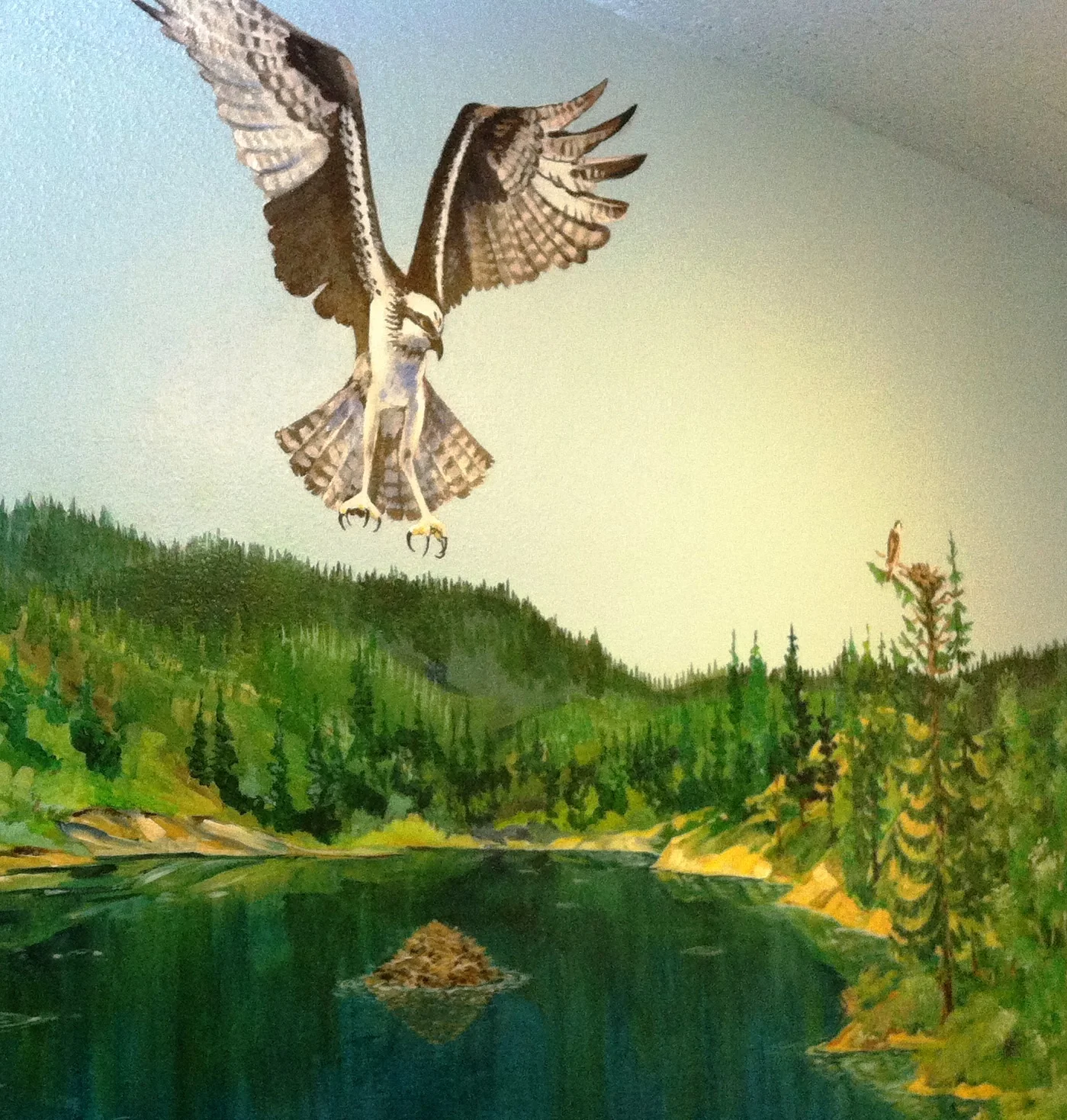 Osprey, finished product