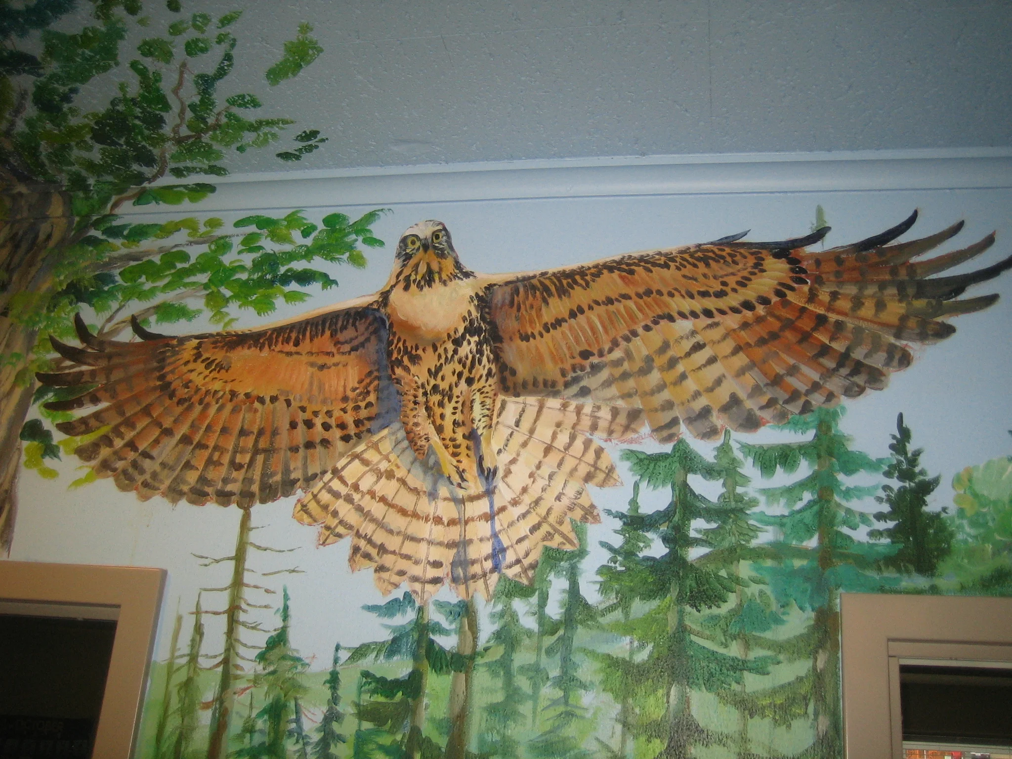 Hawk, YWCA Womens Shelter