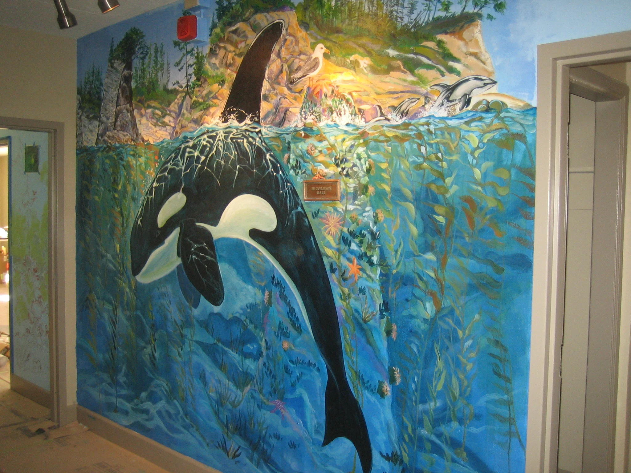 Orca, YWCA Womens Shelter
