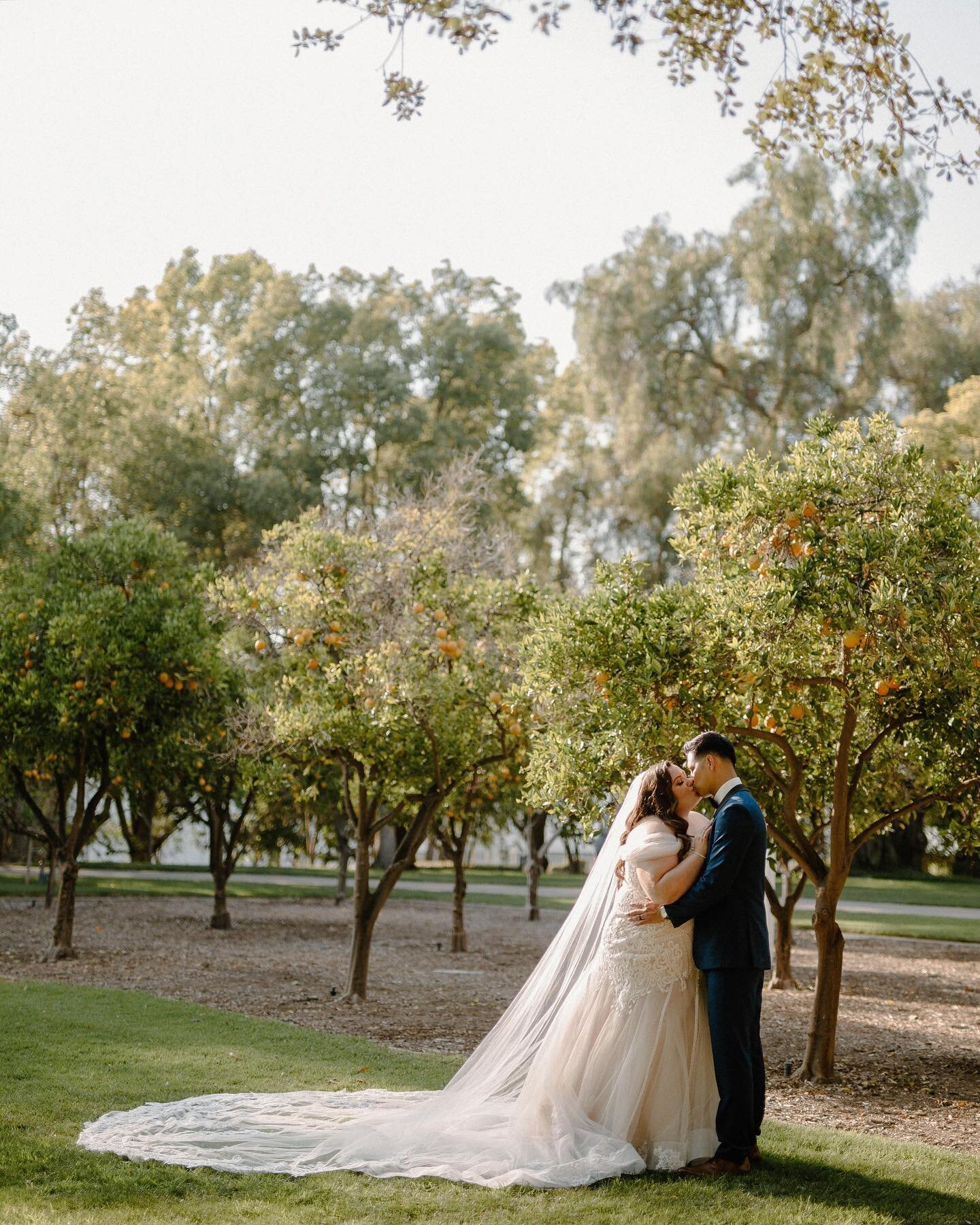 the absolutely stunning marghot + her sweet groom, armando. these two tied the knot today after a highly anticipated two year wait! so happy they decided to stick it out + still have their dream wedding after the pandemic tried crushing it. so gratef