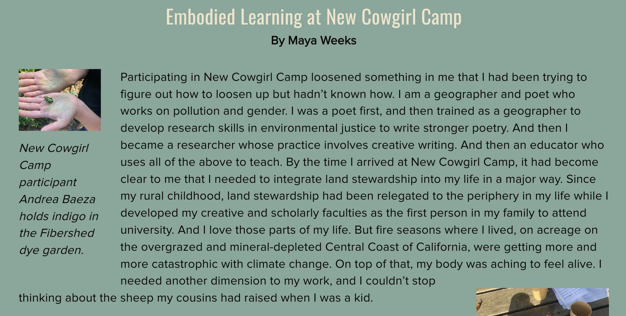 Embodied Learning at New Cowgirl Camp