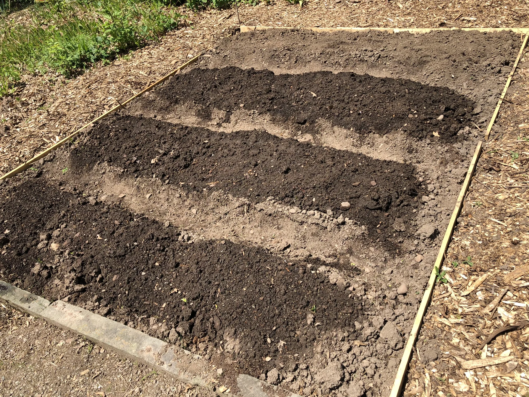 Plot 24, after the clearing.