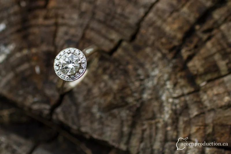 Nokara Farm Wedding in St Catherine