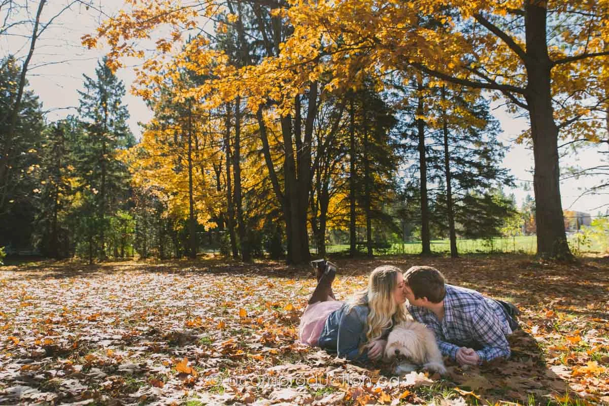 A Fall Engagement Photo Session in Kleinburg Ontario