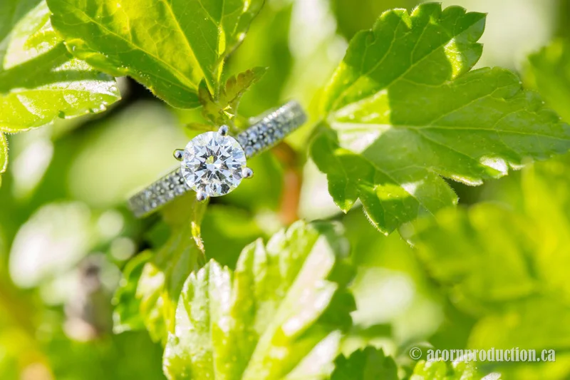 markham-engagement-photography-unionville-main-street-05