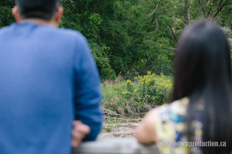 20-engagement-couple-spot-deer