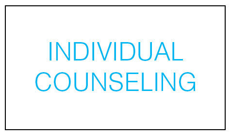 Individual+Counseling+rectangle_gray.jpg