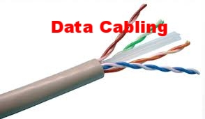 cat6.jpg