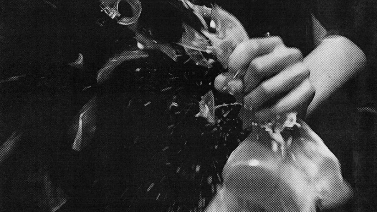 SHOWSTUDIO | ROBERT HAMADA | BRILEY JONES | XEROX |