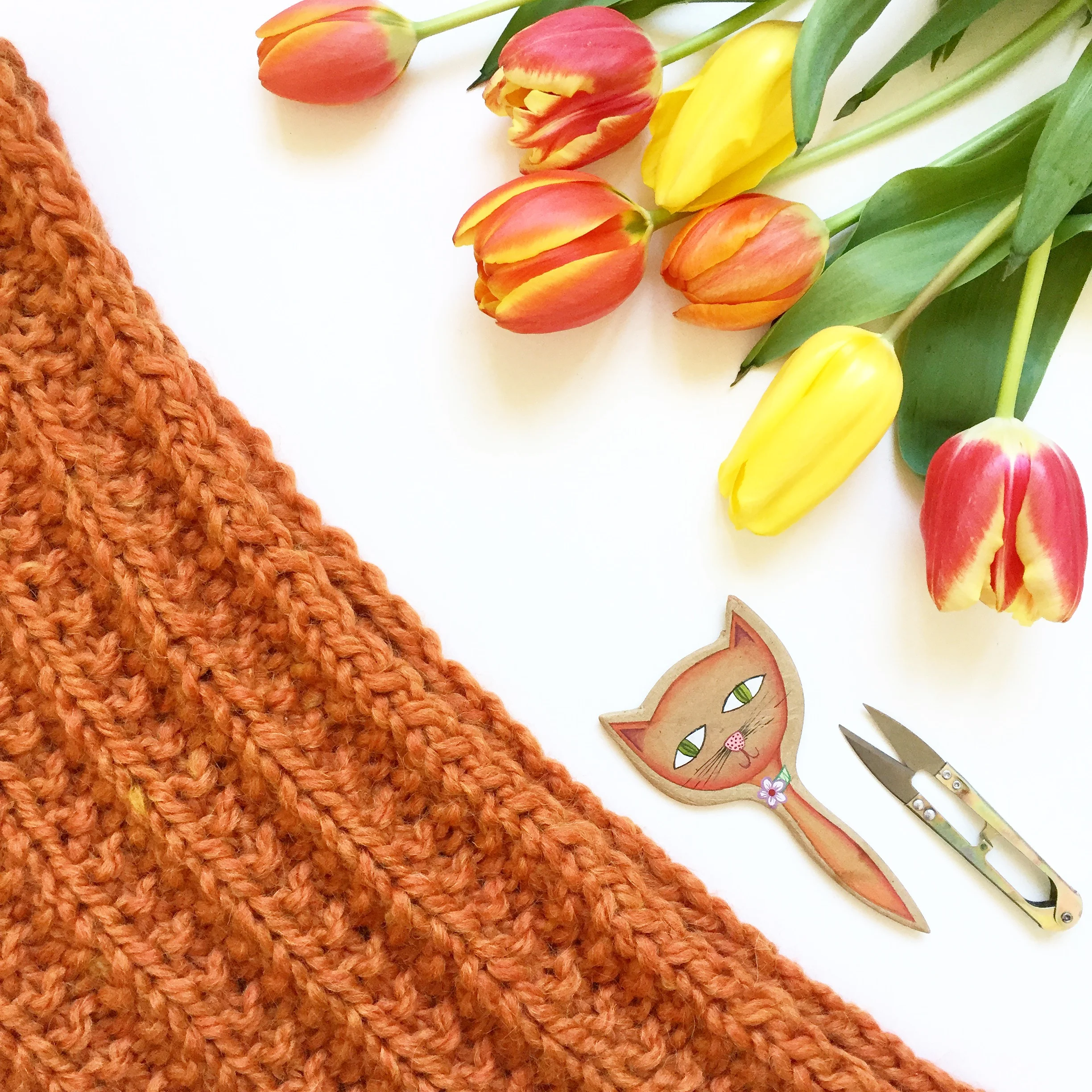 Seeded Rib Stitch Pattern