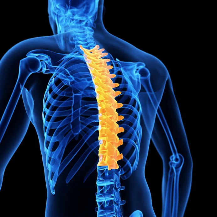 T Spine Mobility