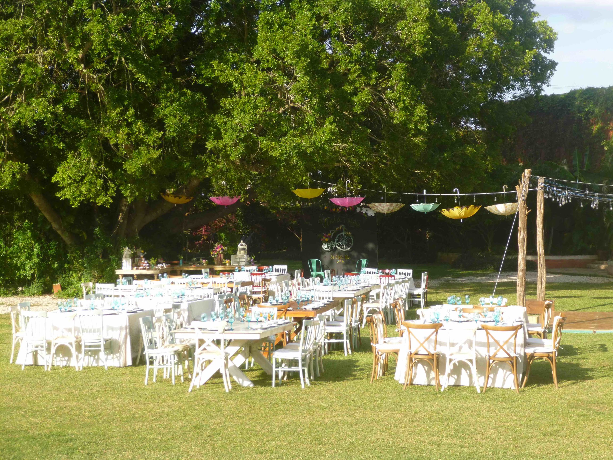 Wedding front garden tree umbrella.jpg