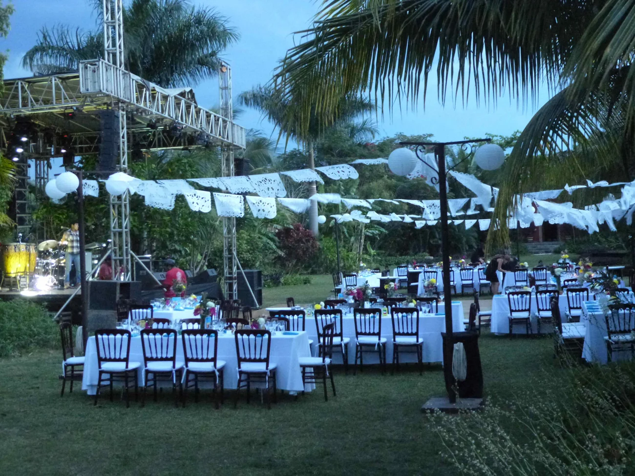 Back garden party copy.jpg